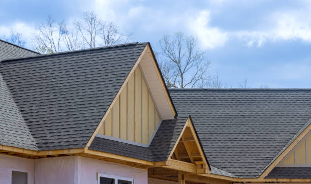 Best Steel Roofing  in Daleville, VA