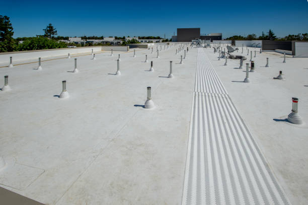 Best Rubber Roofing (EPDM, TPO)  in Daleville, VA